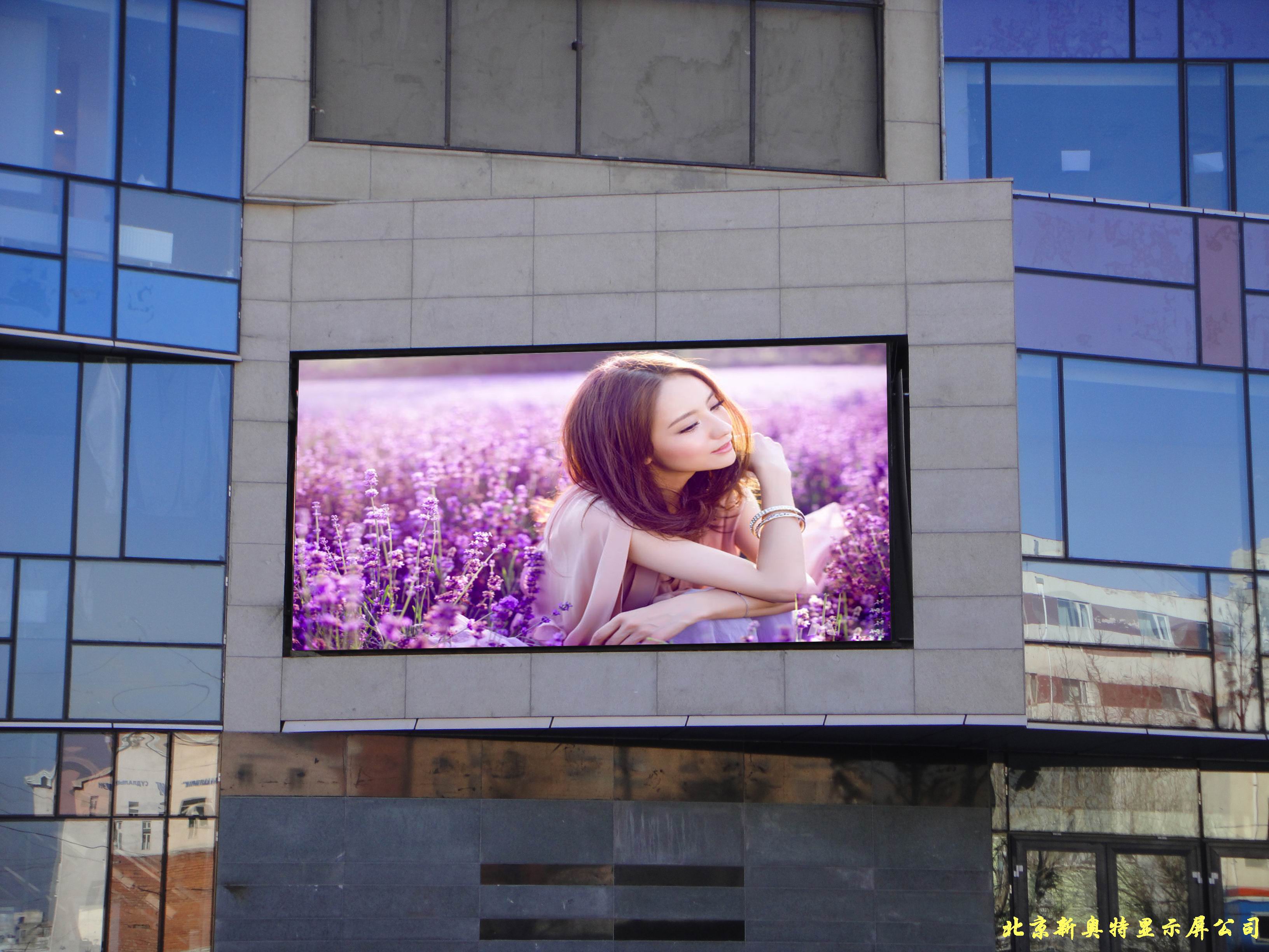 �ɹŇ�����P8