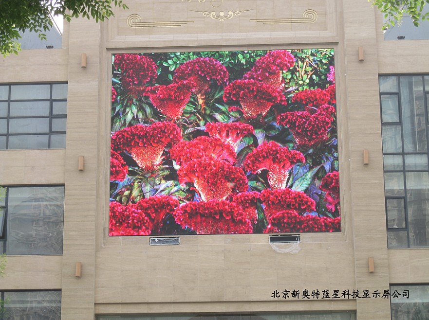 �Ќm�Ƶ�����P6ȫ��