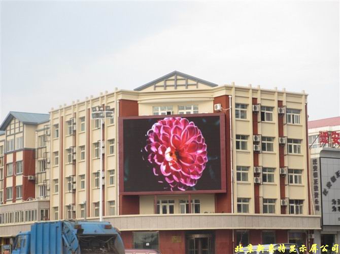 �w������P8ȫ��