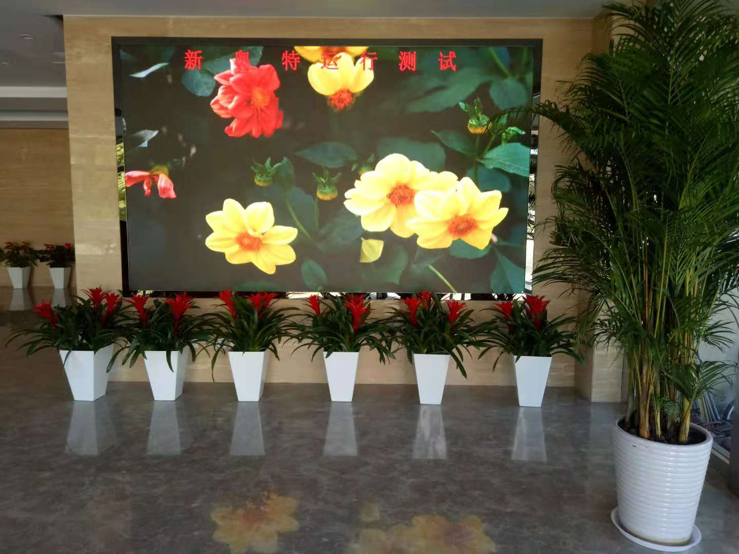 ���d�^(q��)��������dP2.0